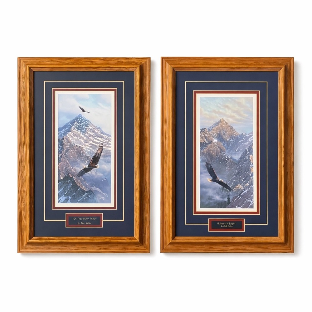 Rick Kelley Bald Eagle Framed Art Print Set of 2 On Freedoms Wing Liberty Flight